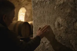 Close-up of a vigneron's hand brushing dust off an engraved, fossil-rich tuffeau wall in a historic wine cellar, with soft natural light and blurred barrels in the background.